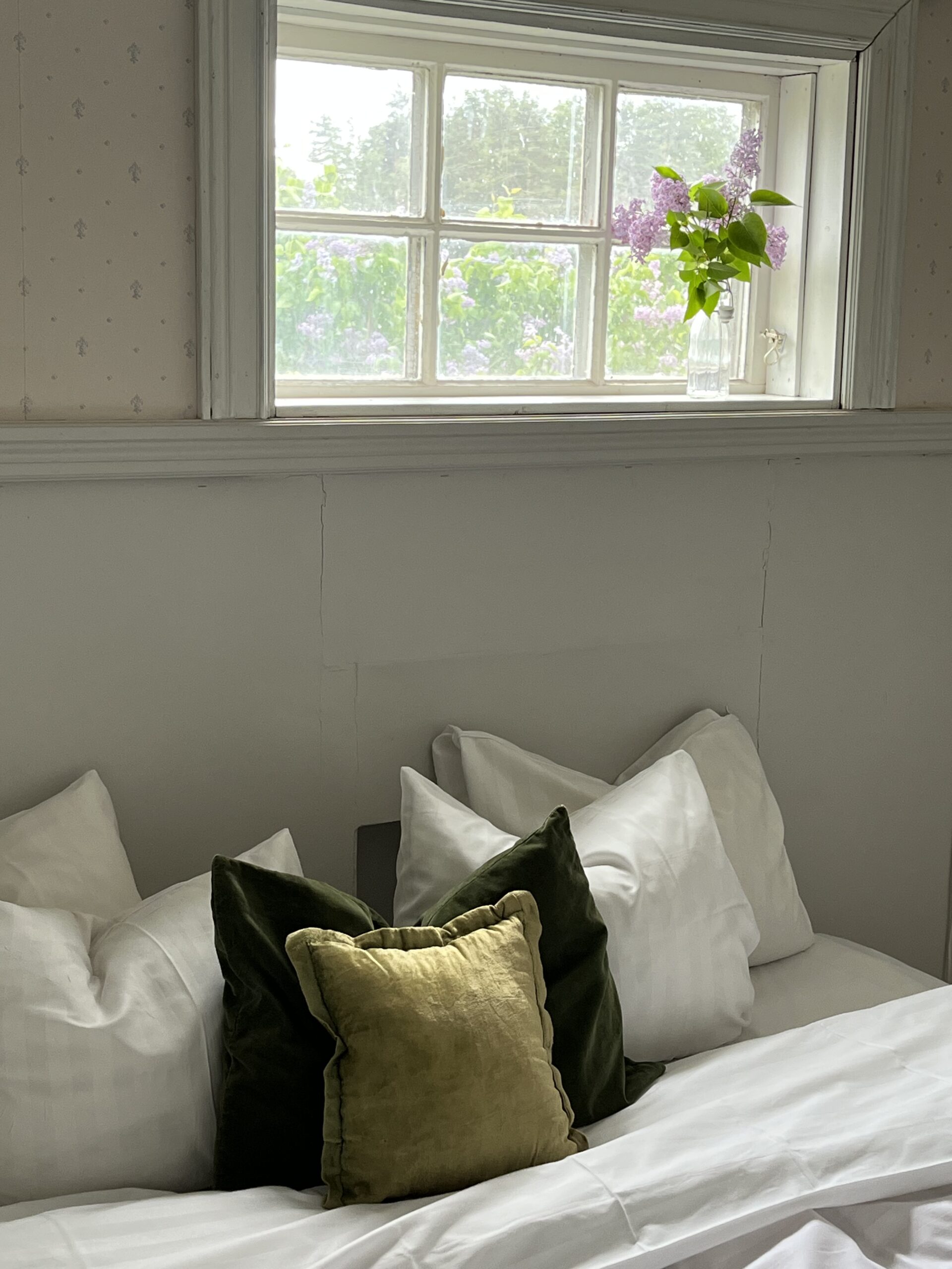 A potted plant hangs beside a window on a rustic red wooden building, adding a touch of greenery to the scene.